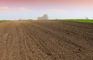 Plowed field in spring time with blue sky