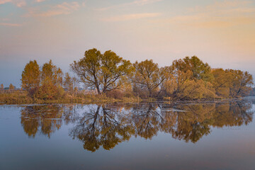 Obraz premium Autumn trees reflected in water in Moscow Region, Russia