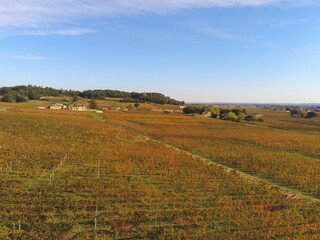Fototapeta premium Vignes à Saint Emilion en Gironde, vue aérienne