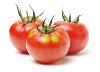 Fresh tomatoes on white background.