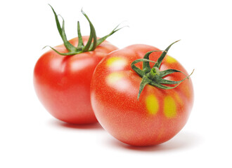 Fresh tomatoes on white background.