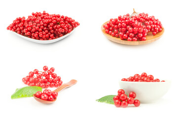 Set of arrowwood berries close-up isolated on white background