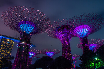 SINGAPORE, 3 OCTOBER 2019: The Supertrees of Gardens by the bay