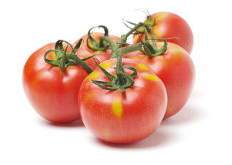 Fresh tomatoes on white background.