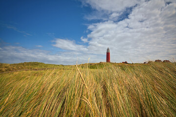 dunes with lighthouse in background