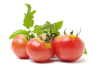 Fresh tomatoes on white background.