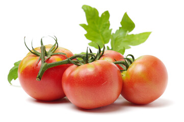 Fresh tomatoes on white background.