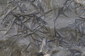 Wierumerwad, Wadden sea