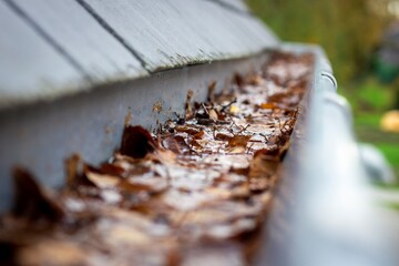 A portrait of a roof gutter clogged by many fallen autumn leaves hanging from a slate roof. This is...