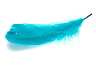Blue fluffy feather isolated on the white
