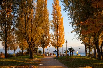 Herbststimmung in Immenstaad am Bodensee