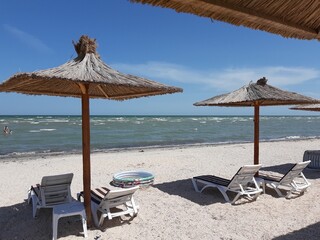 lounge chairs on the beach