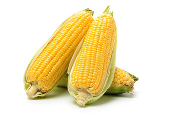 Corn on white background 