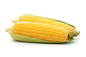 Corn on white background 