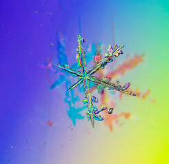Snowflakes on a rainbow background.