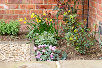 Spring flower border in a garden, UK