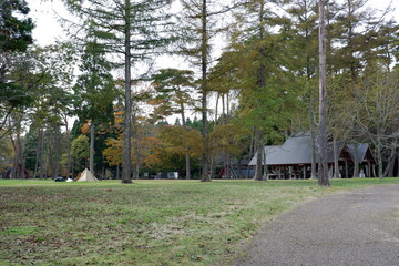 白鳥公園　キャンプ場