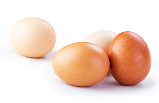 chicken eggs isolated white background