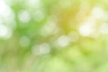 Fototapeta premium Bright glowing green nature background in the form of bokeh. Natural defocus art abstract blur tones with sun rays wallpaper.
