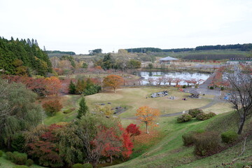 おいらせ　白鳥公園