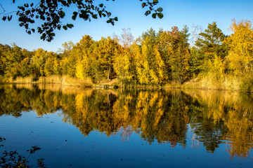 A beautiful little lake called Schnepfensee in Germany at a sunny day in Autumn with a colorful...