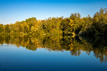 A beautiful little lake called Schnepfensee in Germany at a sunny day in Autumn with a colorful...