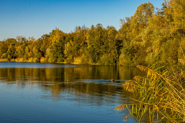 A beautiful little lake called Schnepfensee in Germany at a sunny day in Autumn with a colorful...