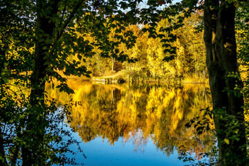 A beautiful little lake called Schnepfensee in Germany at a sunny day in Autumn with a colorful forest reflecting in the water.