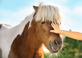 Little child stroking cute pony outdoors on sunny day, closeup