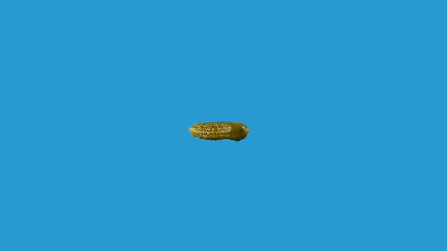 pickle spinning around horizontal in loop motion isolated on blue background