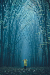 Man lost in a spooky forest. Forest in fog with mist. Fairy spooky looking woods in a misty day with a man lost in it. Cold foggy morning in horror forest