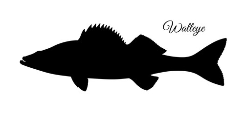 Walleye fish silhouette
