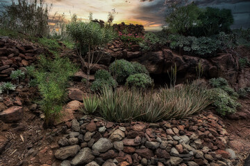 Mossy rocks at Gran Canaria Park at sunset