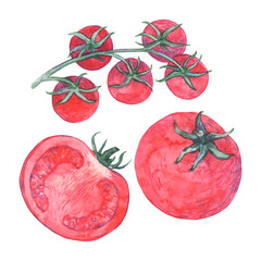 Set of watercolor fresh red tomatoes and cherry tomatoes.