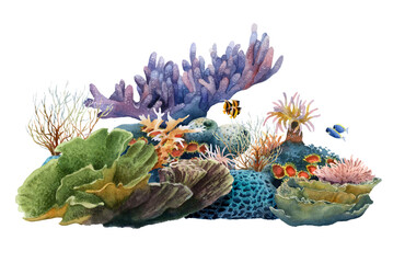 A picturesque group of corals and tropical fishes hand drawn in watercolor isolated on a white background. Watercolor illustration.  © Tatiana