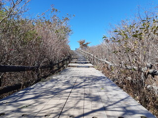 歩いた先にあるのは...