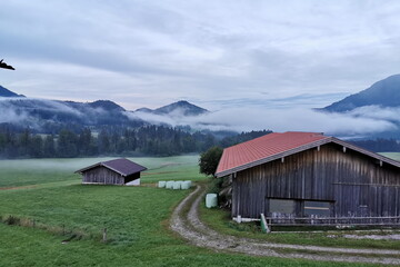 Morgennebel in der Jachenau