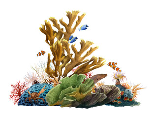 Sea corals group with a crab and bright tropical fishes hand drawn in watercolor isolated on a white background. Watercolor illustration.  © Tatiana