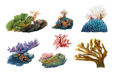 Sea corals set hand drawn in watercolor isolated on a white background. Watercolor illustration.  © Tatiana