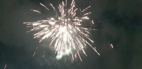 fireworks in the night sky