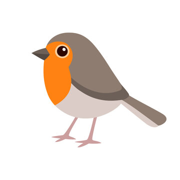 Cute cartoon robin bird