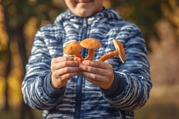 boletus in the boy's hands. looking for mushrooms in the autumn forest