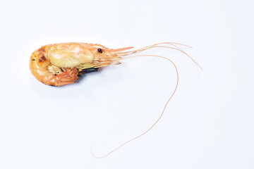 grilled river shrimp arranging on white background