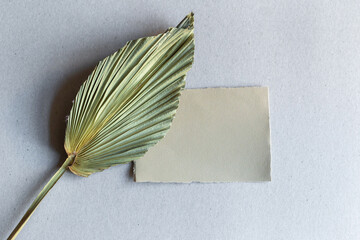 Summer stationery still life. Closeup of blank business card mock-up near dry palm leaf on grey background.Flat lay, top view. Tropical vacation concept.
