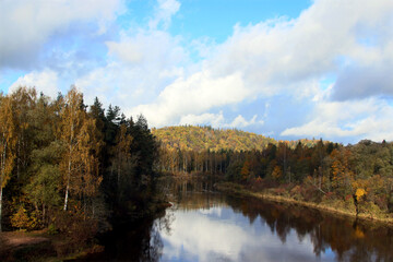 Fototapeta na wymiar autumn in the forest near the river with blue sky