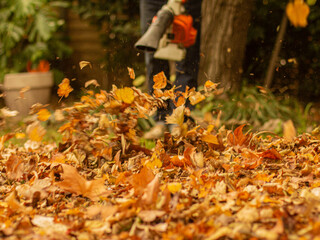 Un homme passe le soufflant pour rassembler les feuilles tomber pendant la saison d'automne.