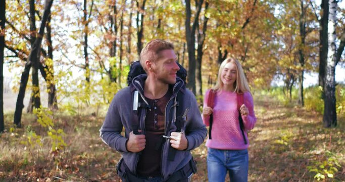 On sunny afternoon, couple walks through autumn forest. Young guy with backpack on his back looking to sides turns back. Light-willed girl with backpack has walk. Tourists. High quality 4k footage