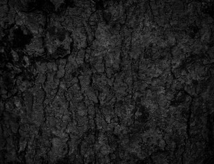 Fototapeta na wymiar Black old bark background There are cracks, the texture of the old bark makes the natural beauty of the old trees with beautiful bark in the summer.
