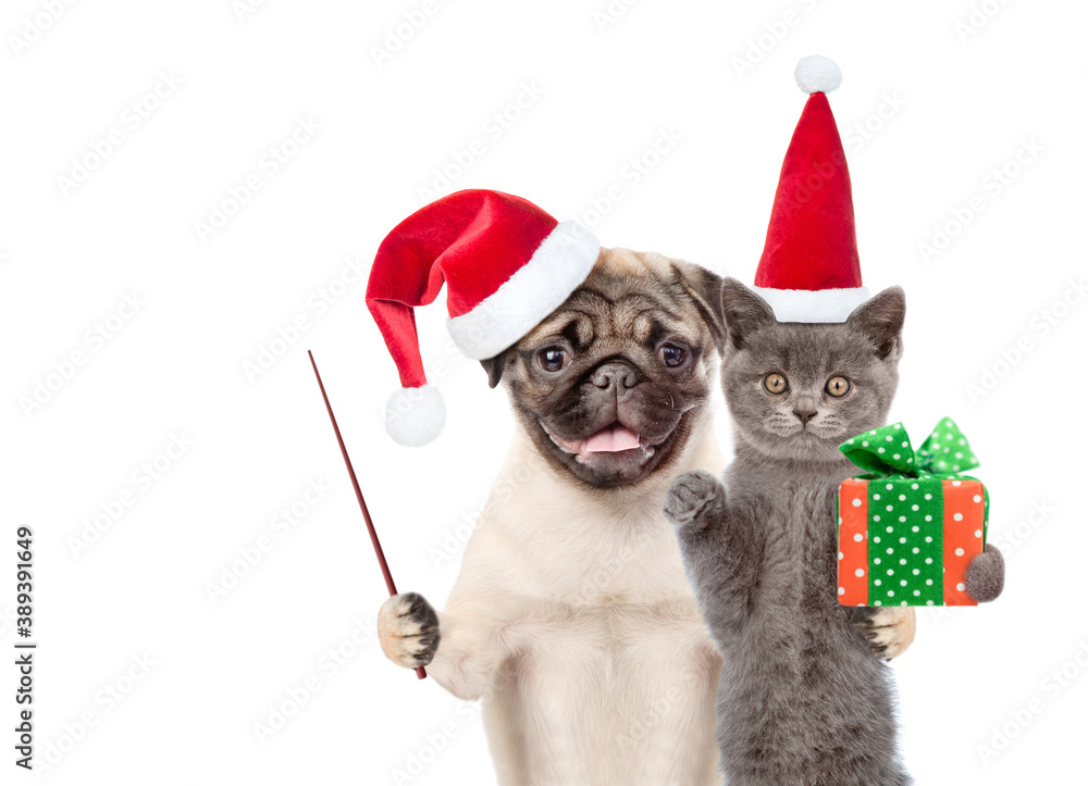 Aufkleber funny puppy and kitten wearing red christmas hats with gift box and pointing stick. isolated on whit