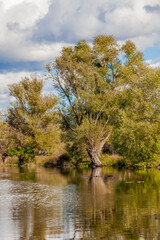 autumn trees reflected in water